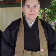 YouTube Lectures on Ryaku Fusatsu by Shinshu
